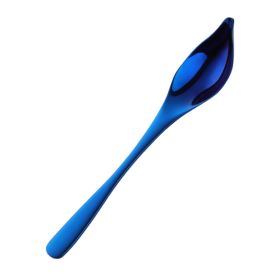 Household Kitchen Stainless Steel Seasoning Spoon Oil Spoon (type: Tableware, Color: Blue)