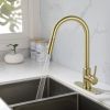 Pull Down Sprayer Kitchen Faucet