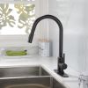 Pull Down Sprayer Kitchen Faucet