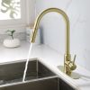 Pull Down Sprayer Kitchen Faucet